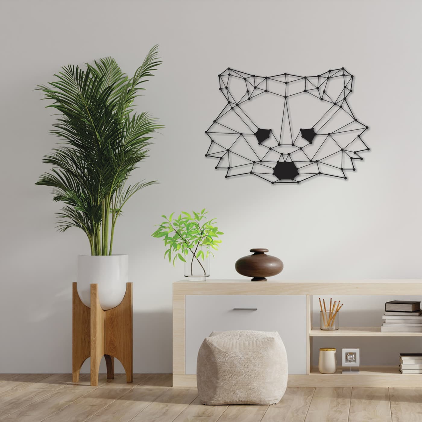 Raccon